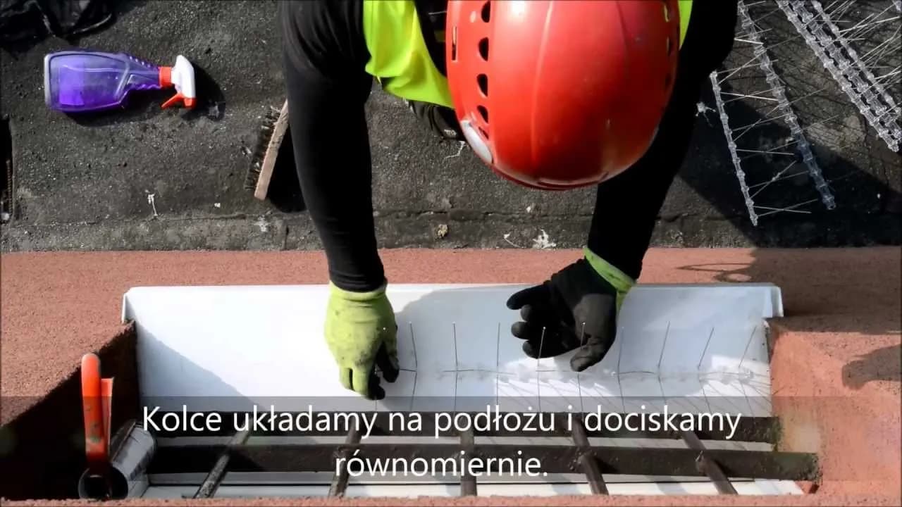 Jak zamontować kolce na ptaki, aby skutecznie zniechęcić ptaki